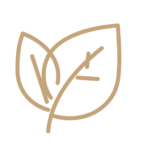 an-leaves ansgroup